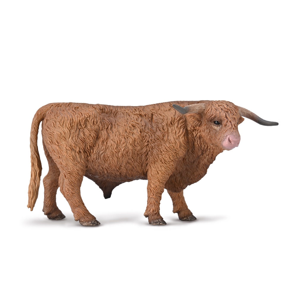 Highland Bull