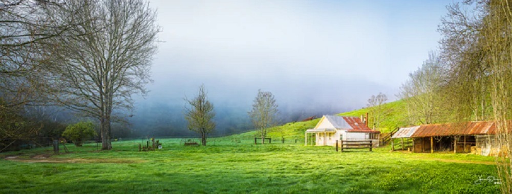 Hilly's Rest