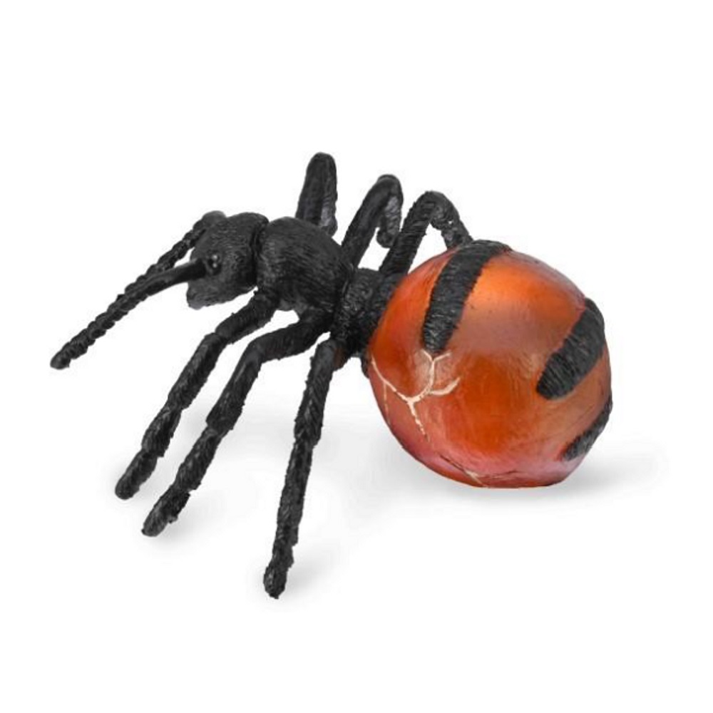 Honeypot Ant