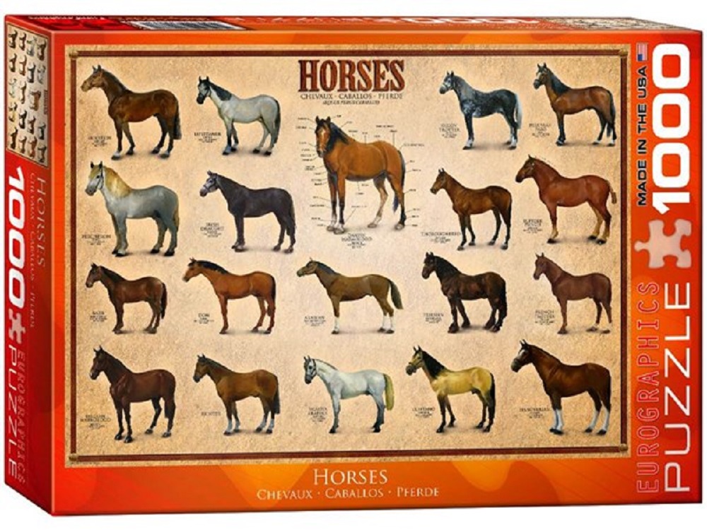 Horses