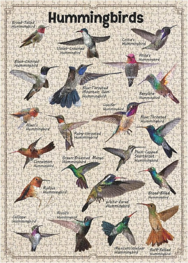 Hummingbirds Poster