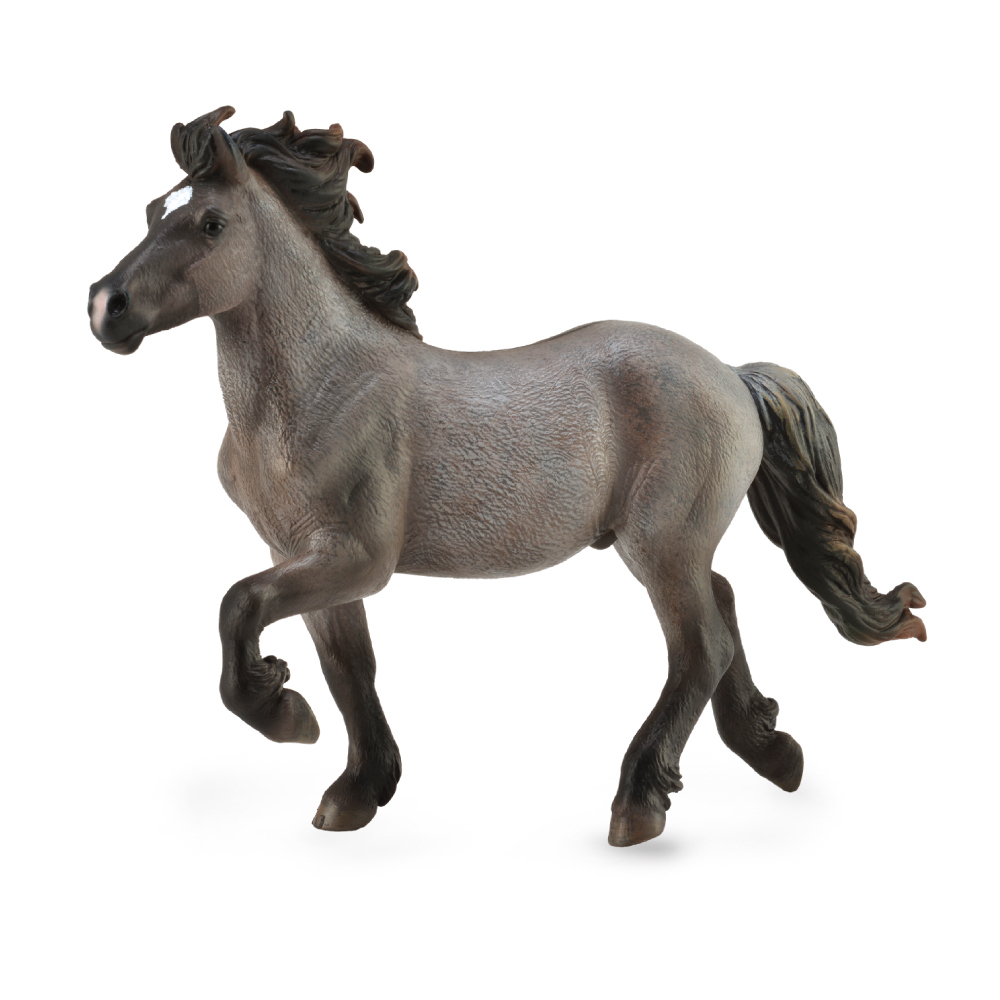 Icelandic Stallion Blue Dun