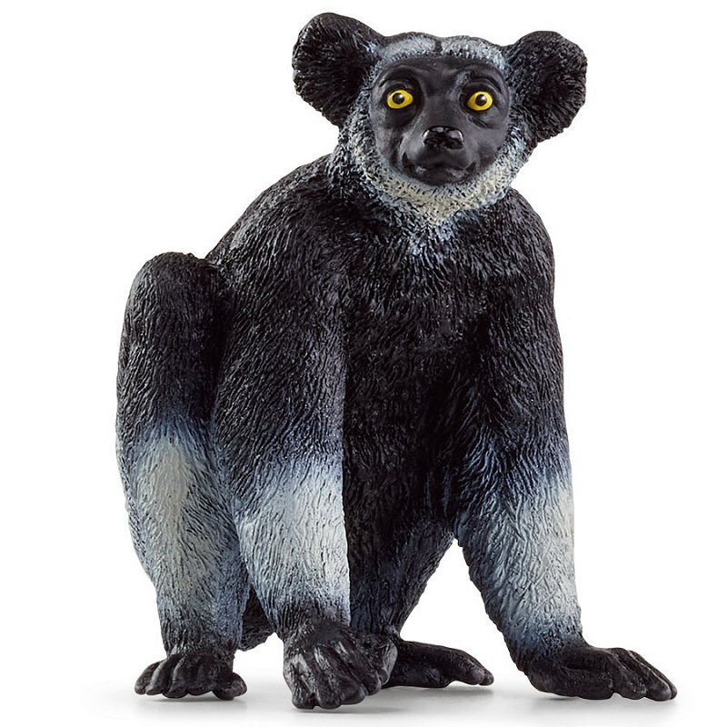 Indri