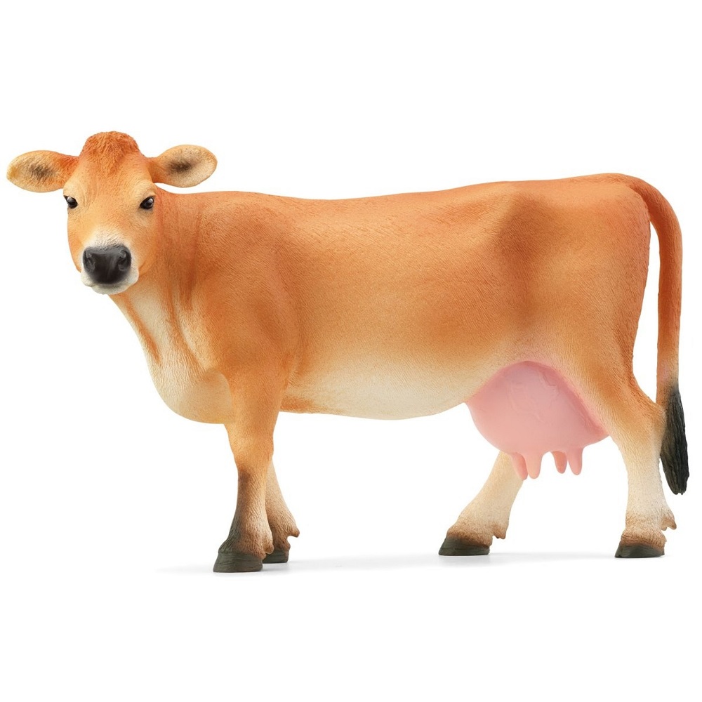 Jersey Cow