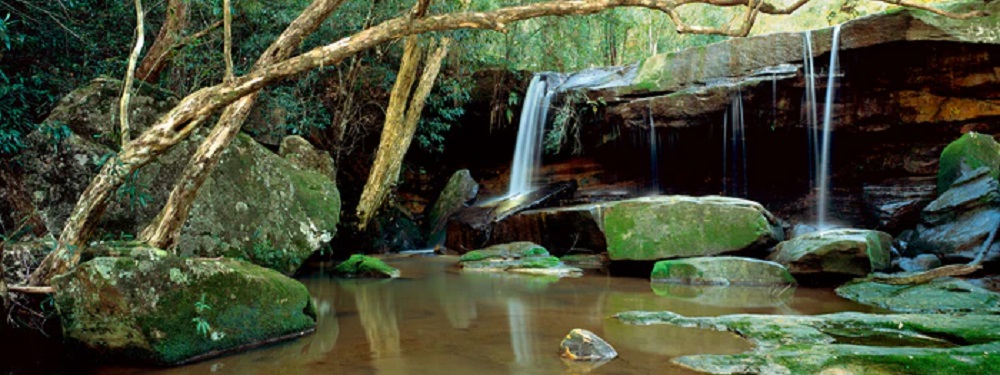 Ken Duncan - Floods Creek Panorama