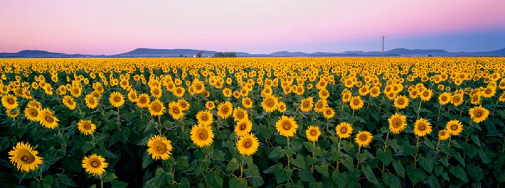 Ken Duncan - Let There Be Joy