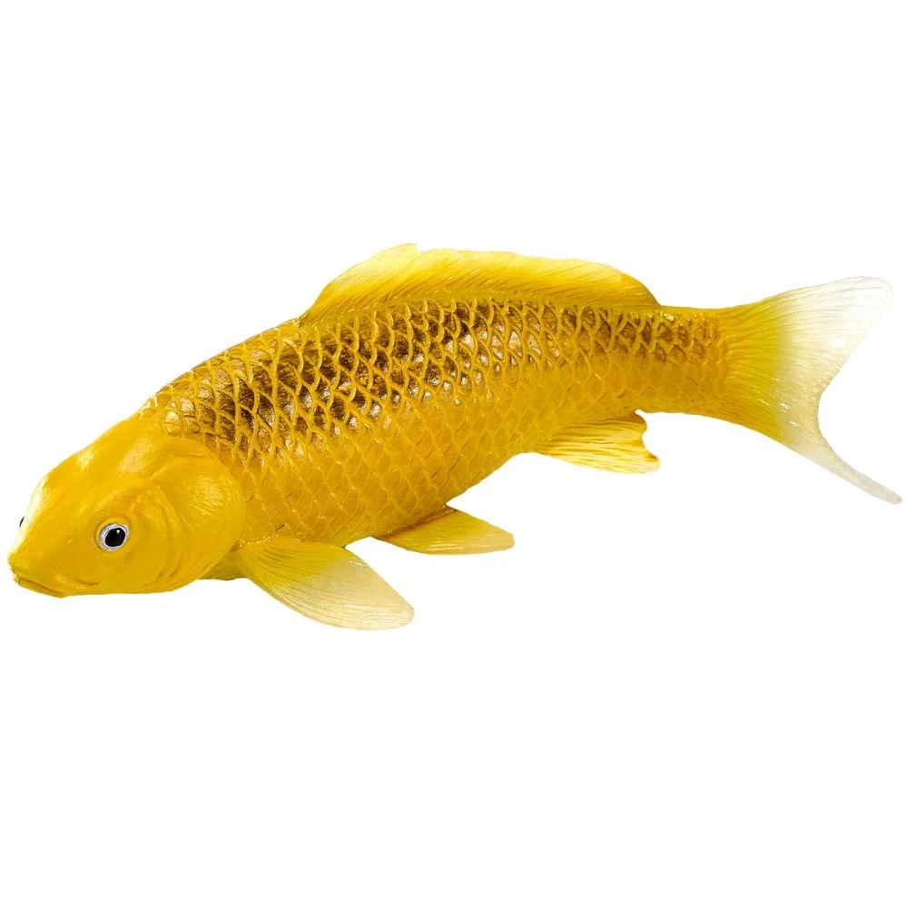 Kin Matsuba Koi Carp