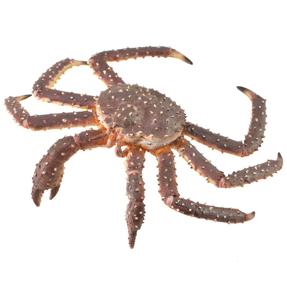 King Crab
