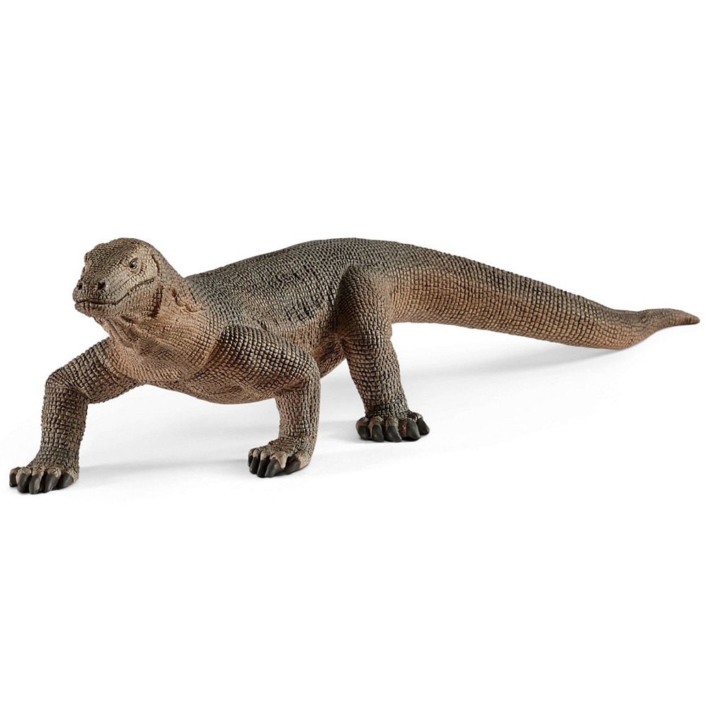 Komodo Dragon