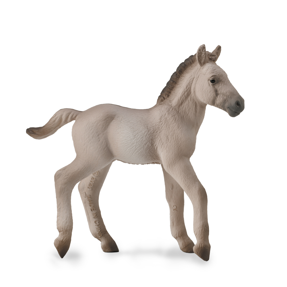 Konik Foal Blue Dun