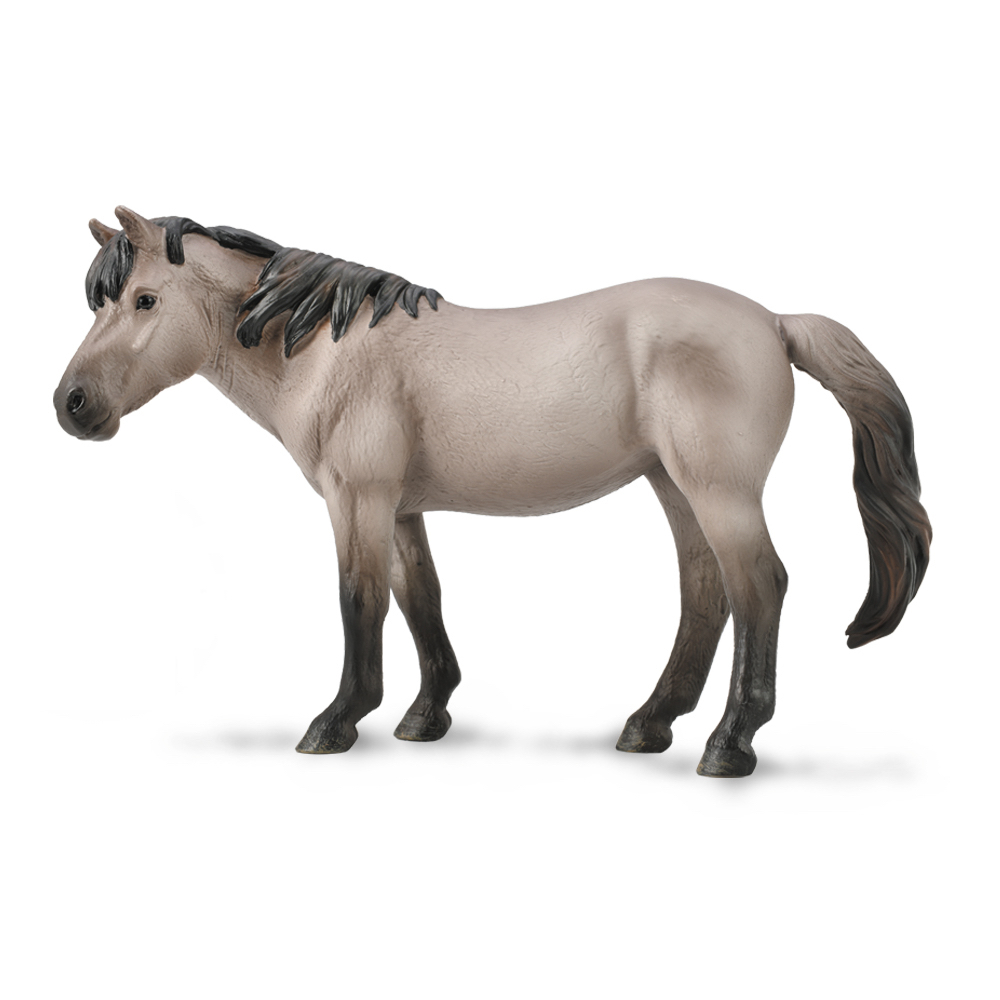 Konik Mare Blue Dun