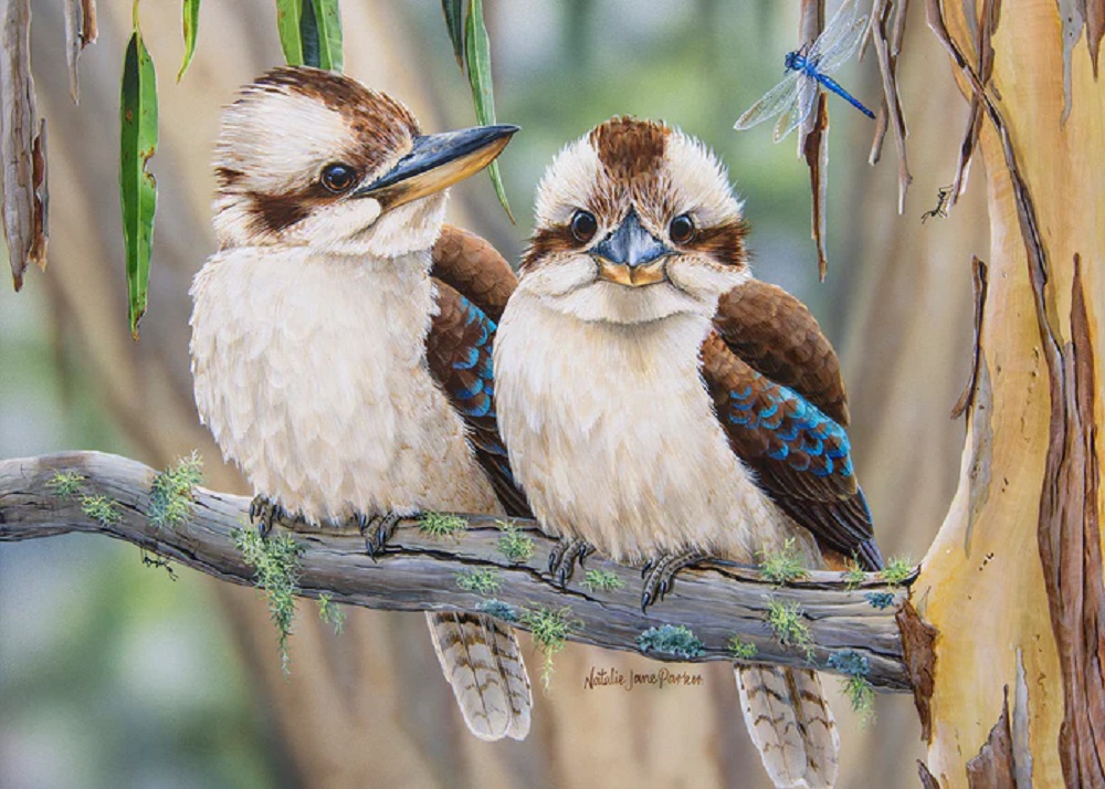 Life Among The Gum Trees - Kookaburras 