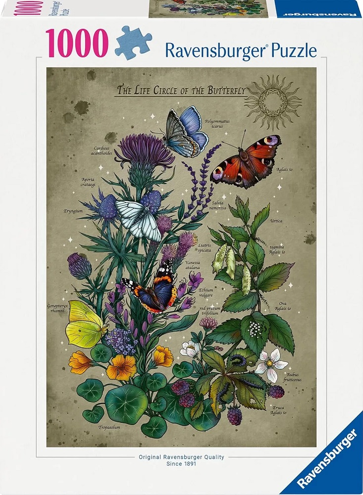 The Life Circle Of The Butterfly