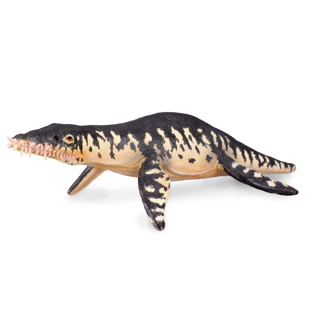 Lipleurodon