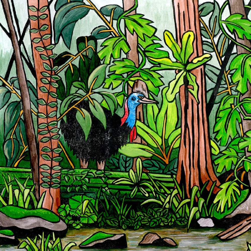 Lyn Randall - Cassowary