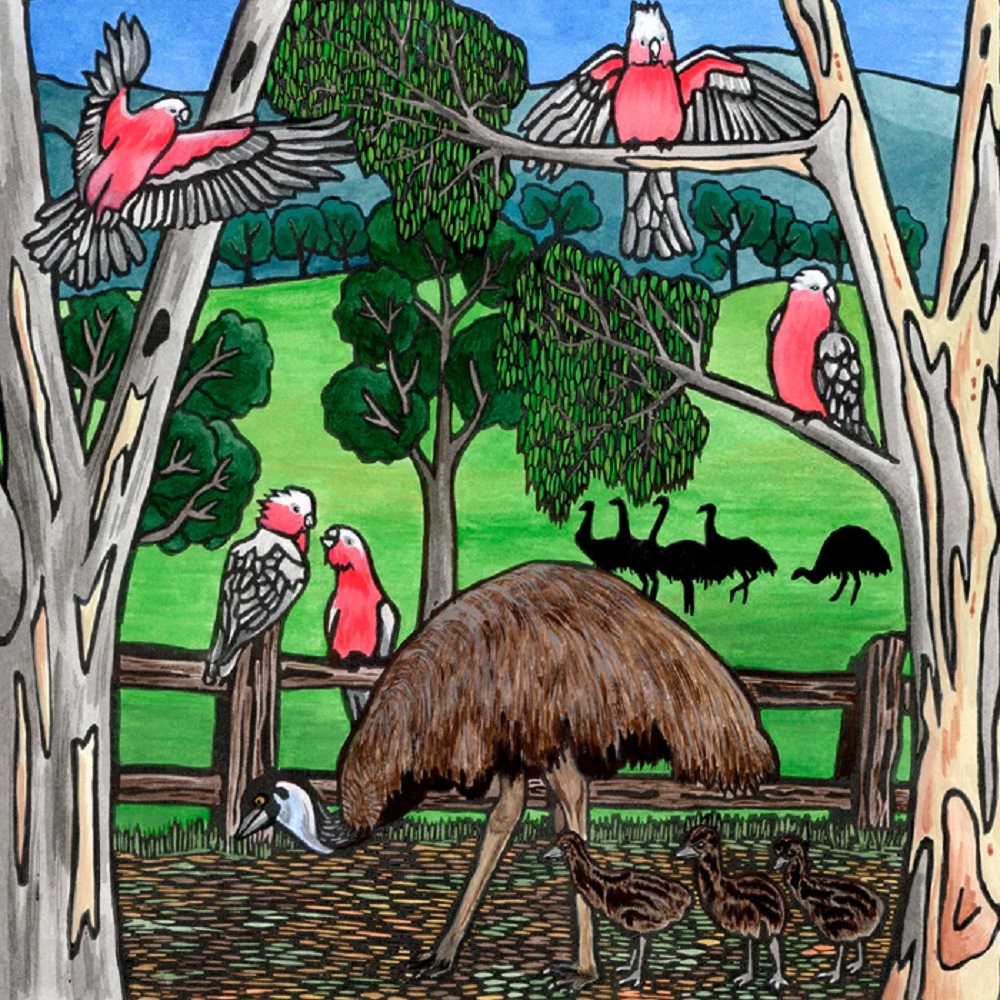 Lyn Randall - Emus