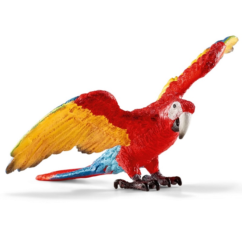Macaw