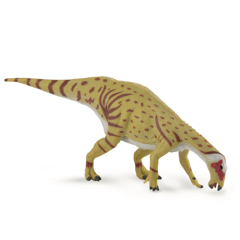 Mantellisaurus Drinking