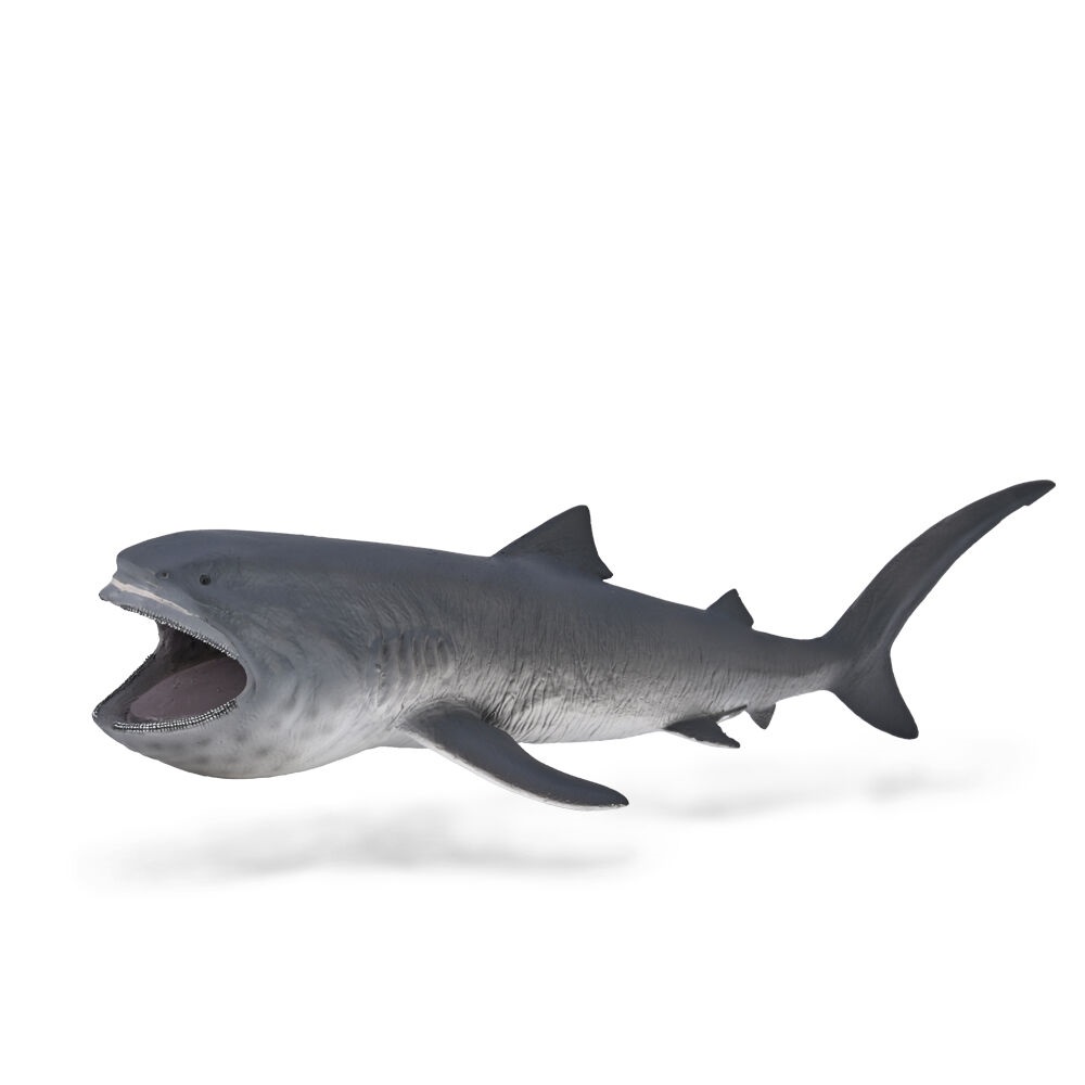 Megamouth Shark