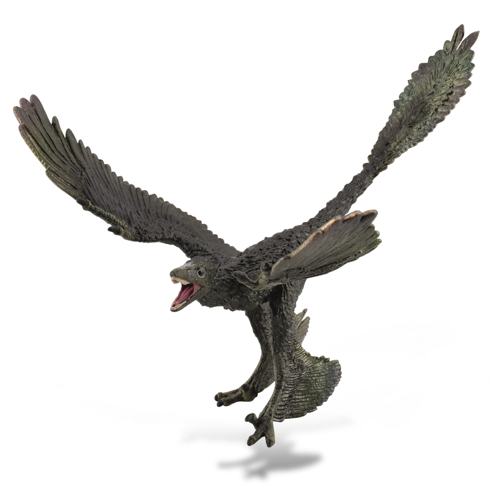 Microraptor 1:6 Scale