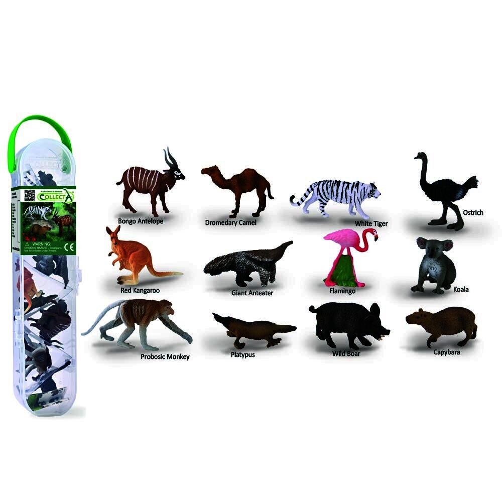 Mini Tube - 12 Wild Animals C