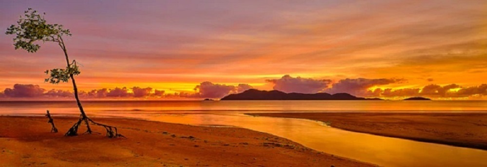 Mission Beach 