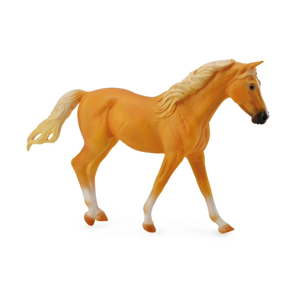 Missosuri Fox Trotter Mare Palomino