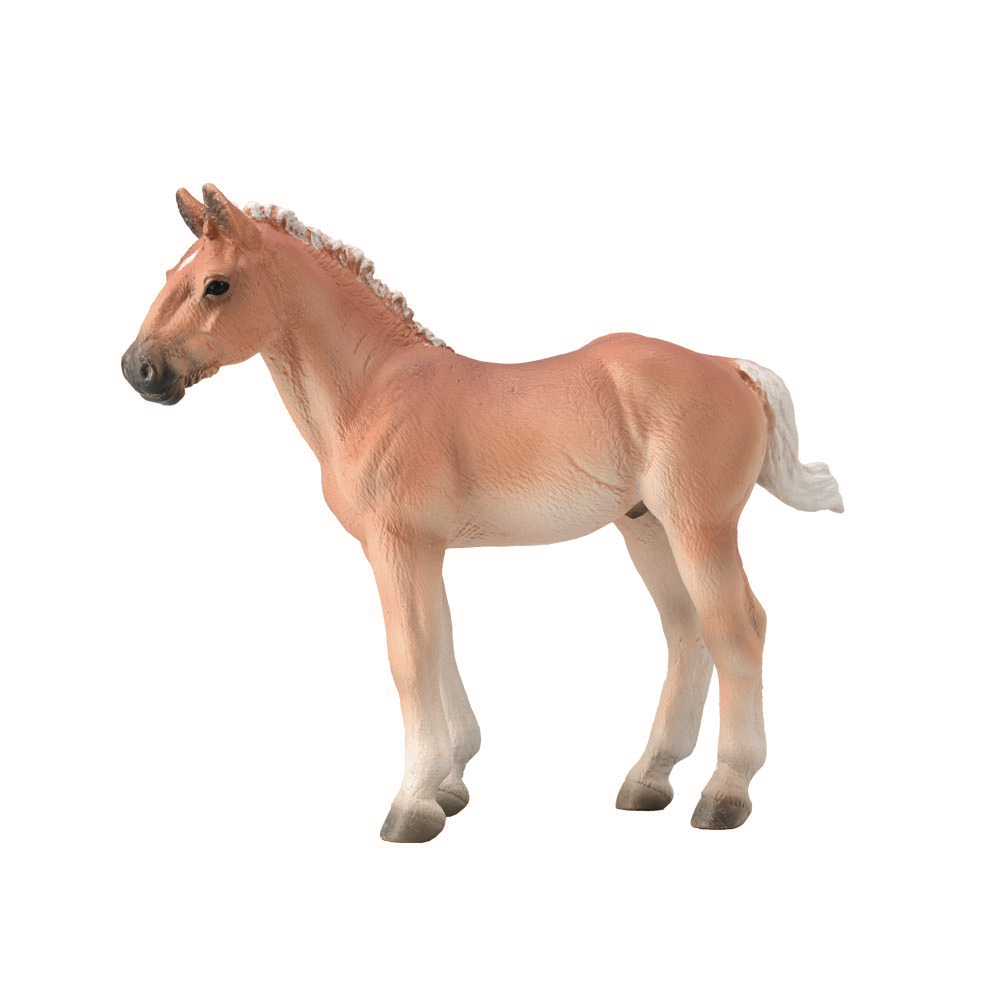 Noriker Foal Flaxen Chestnut