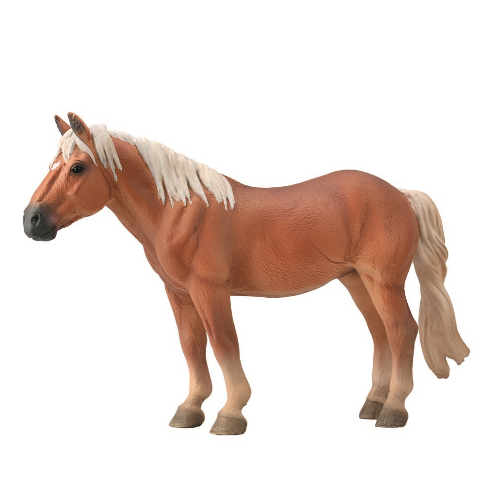 Noriker Mare Flaxen Chestnut