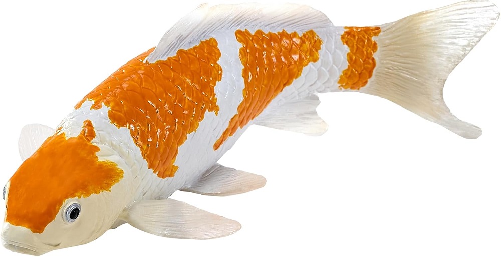 Ochiba Shigure Koi Carp 