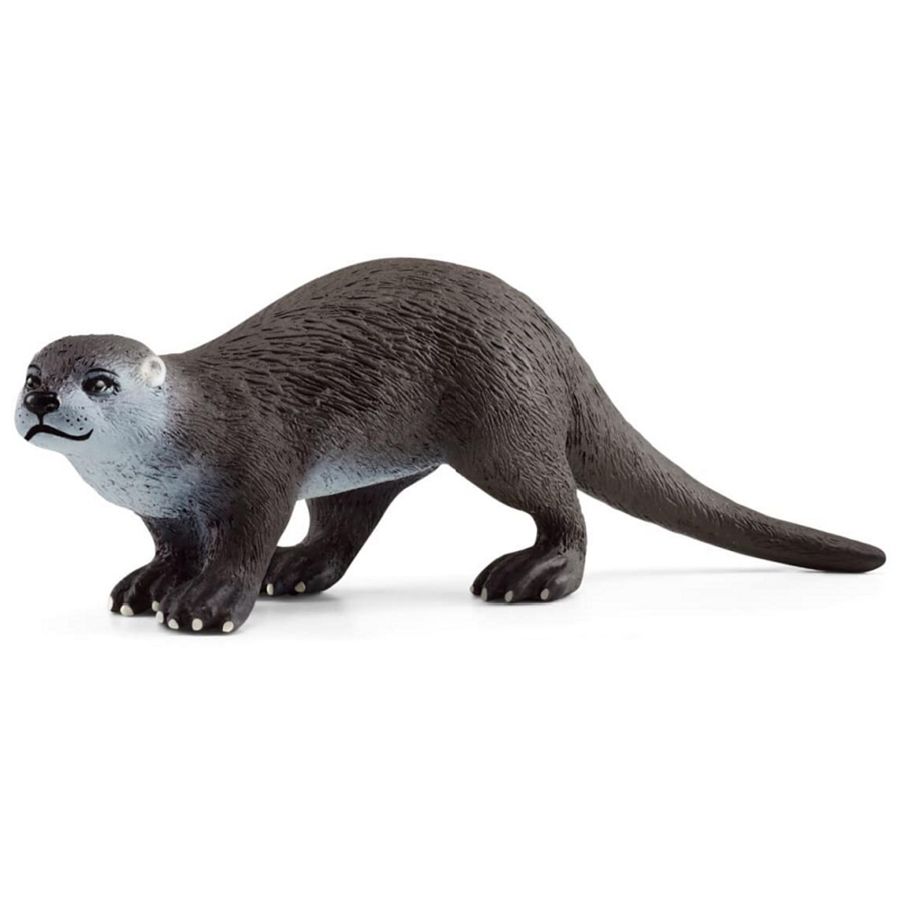 Otter