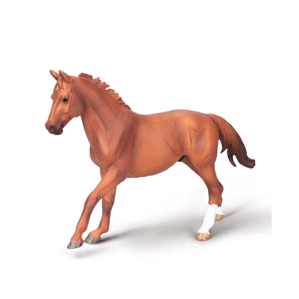 Pharlap - Thoroughbred Stallion Chestnut