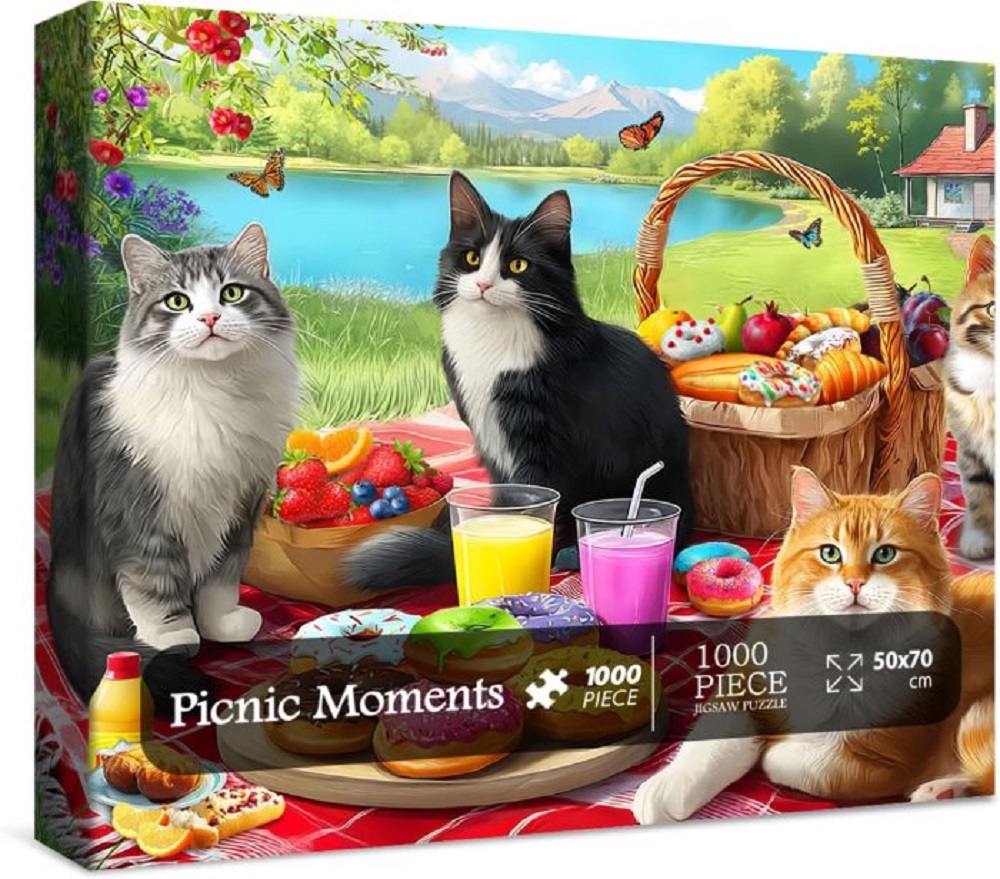 Picnic Moments