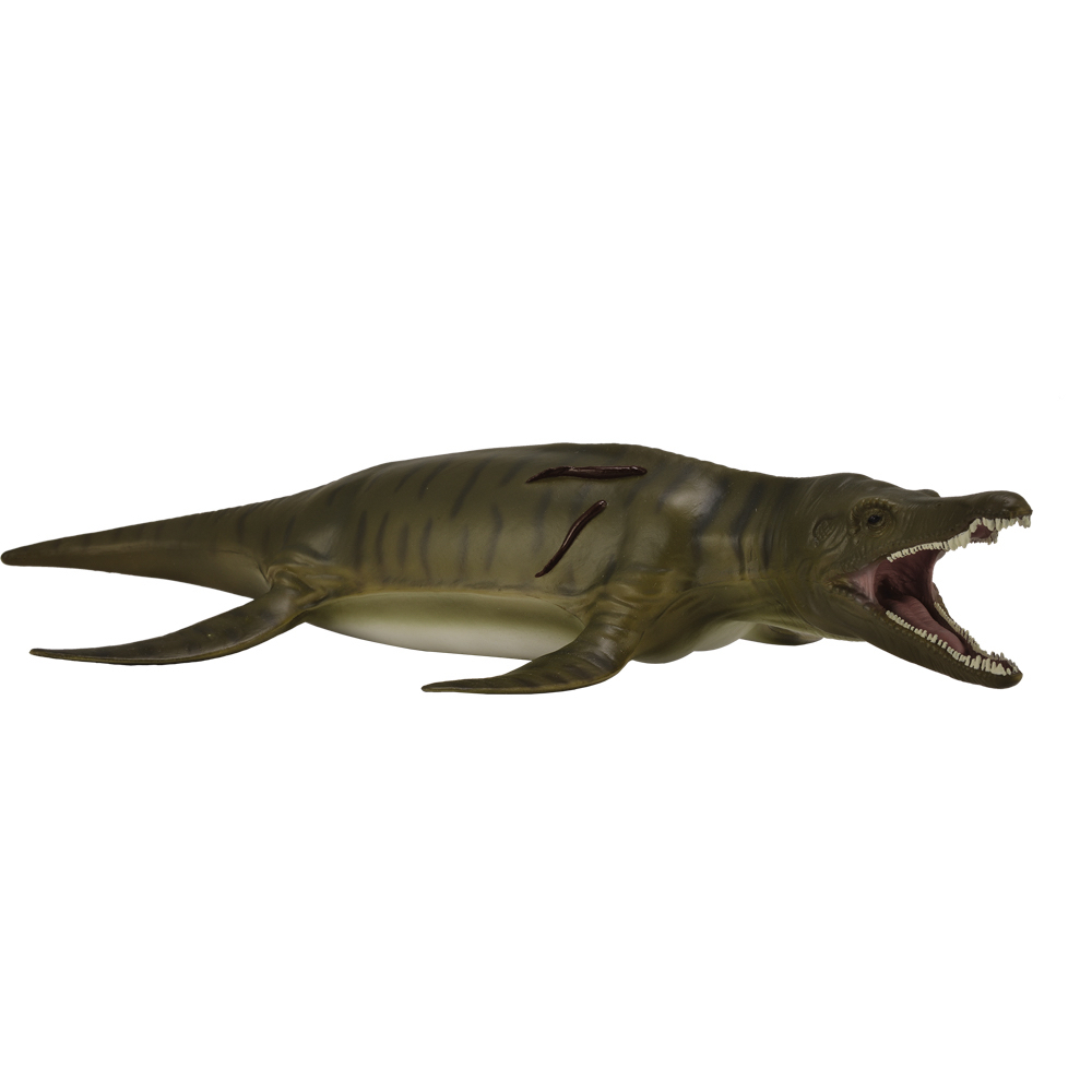 Pliosaurus Deluxe 1:40 Scale