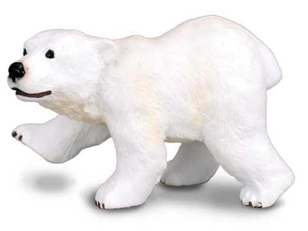 Polar Bear Cub Standing