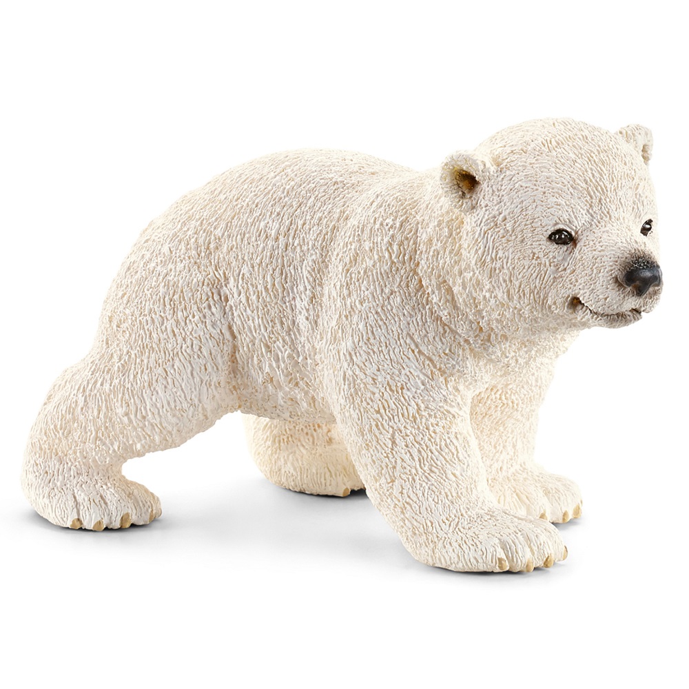 Polar Bear Cub Walking