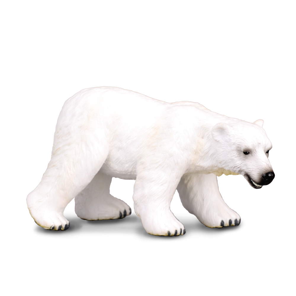Polar Bear
