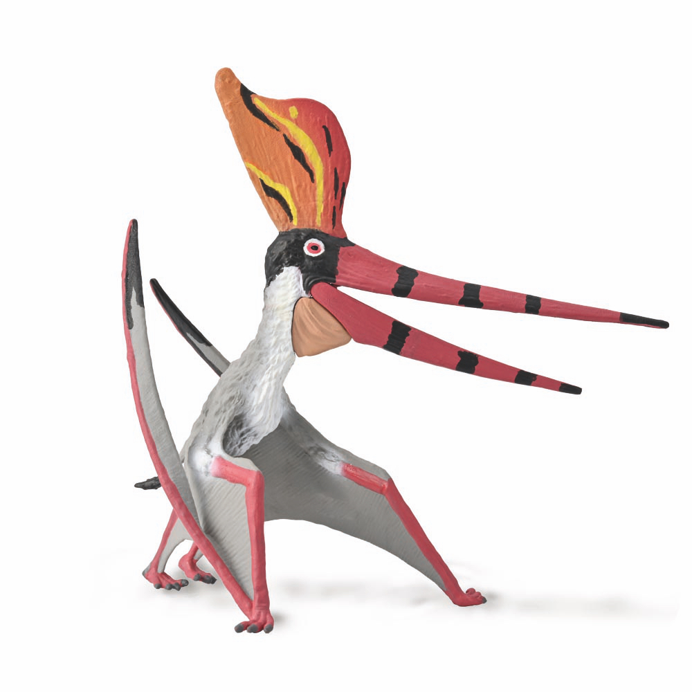 Pteranodon Sternbergi With Moveable Jaw
