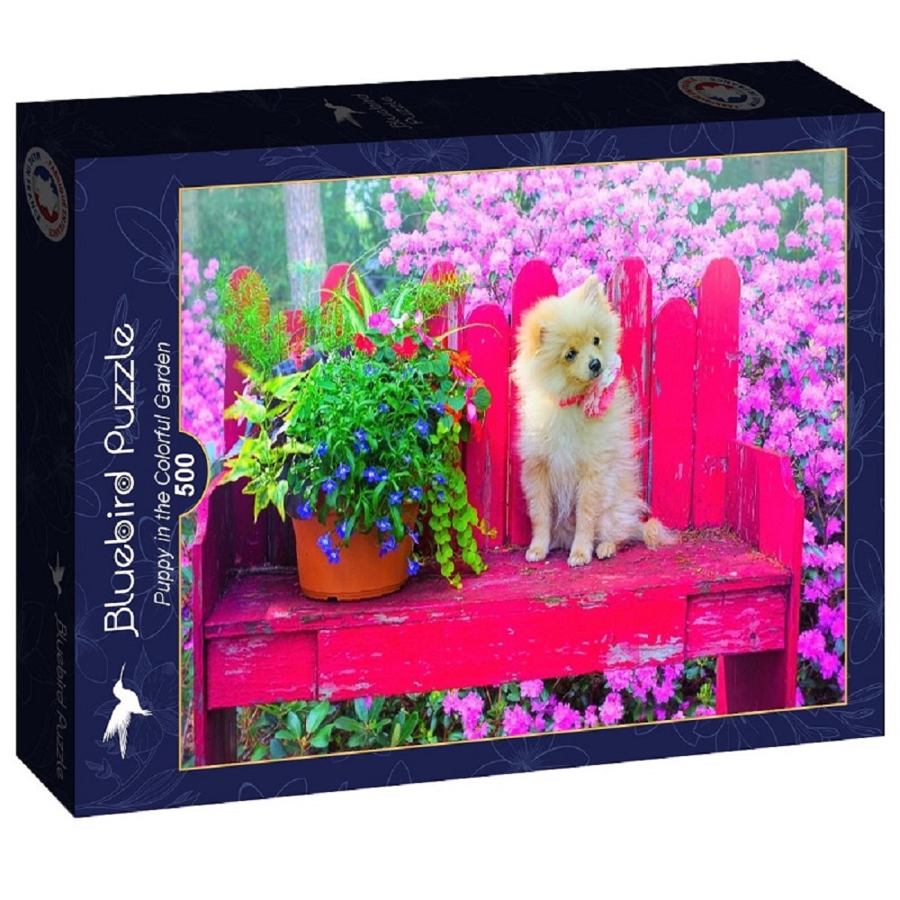 Puppy In The Colourful Garden (1)