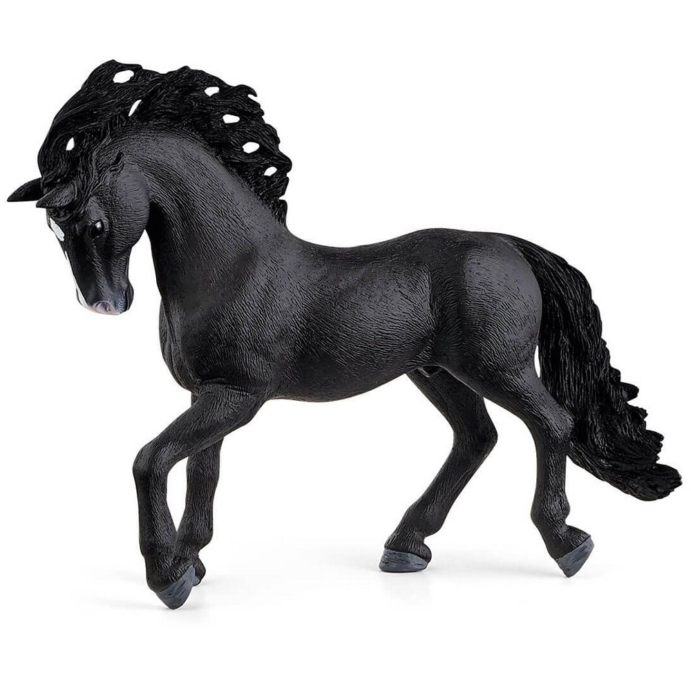 Pura Raza Espanola Stallion