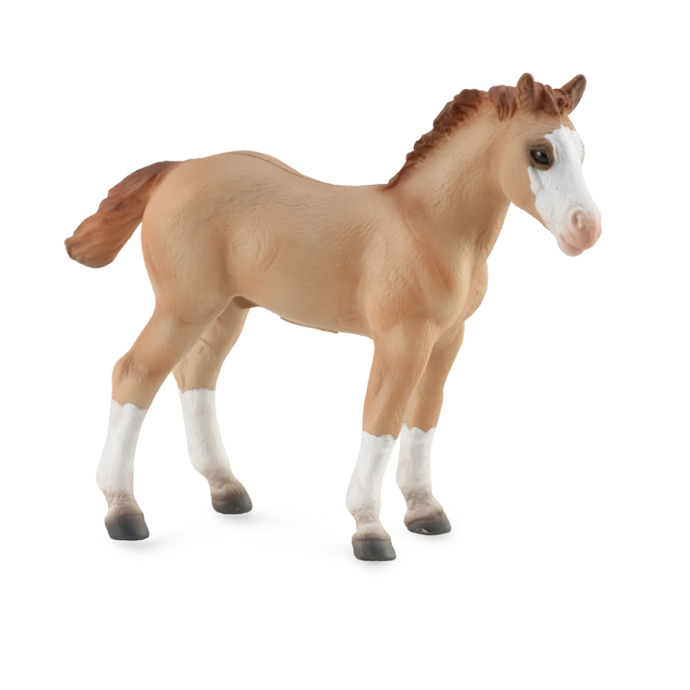 Quarter Horse Foal Red Dun