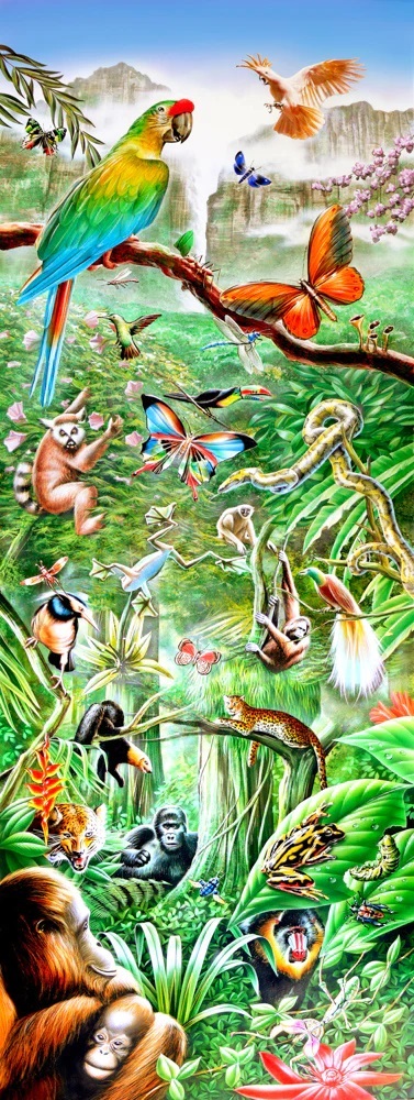 Rainforest Panorama