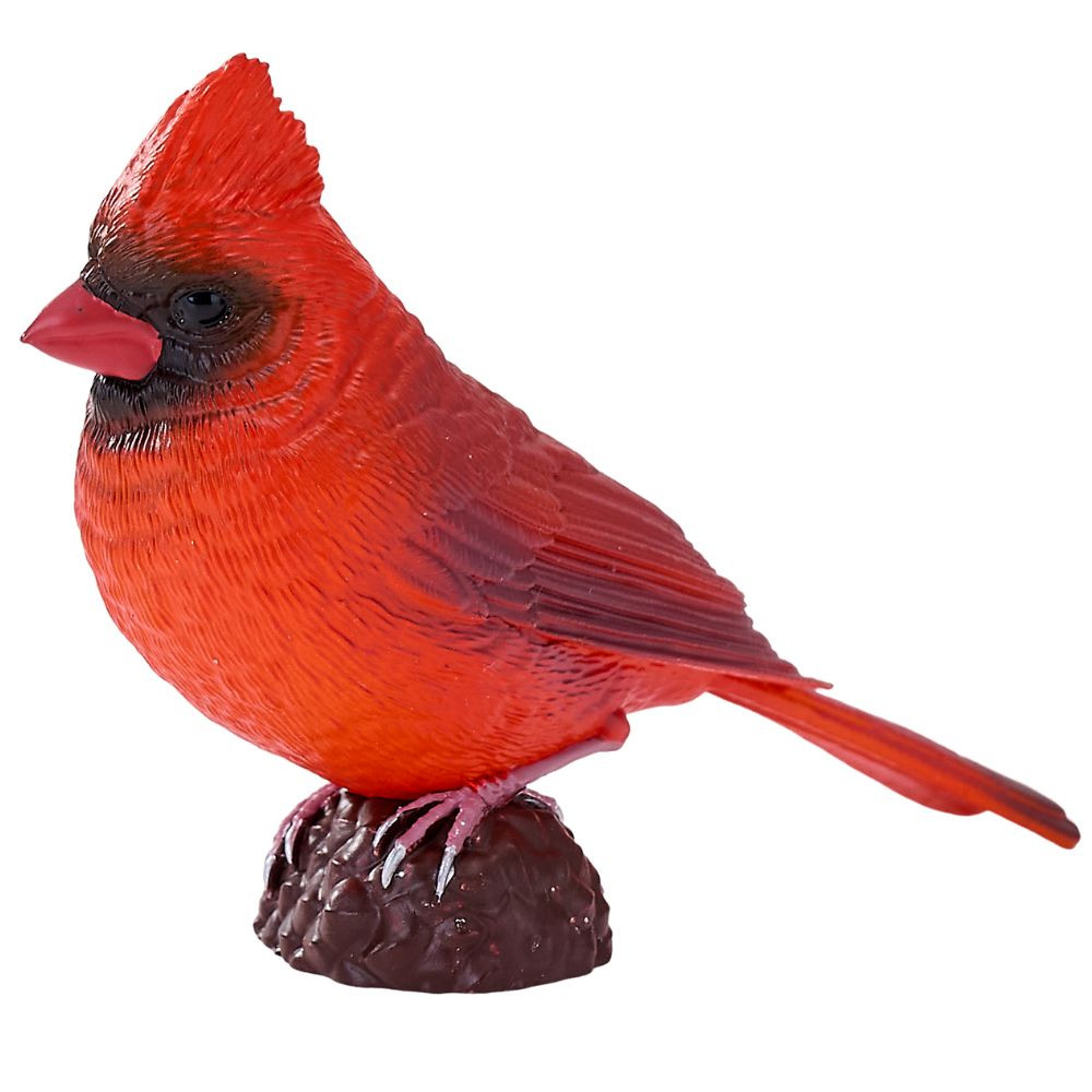 Red Cardinal