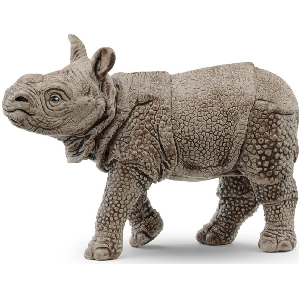 Rhinoceros Baby