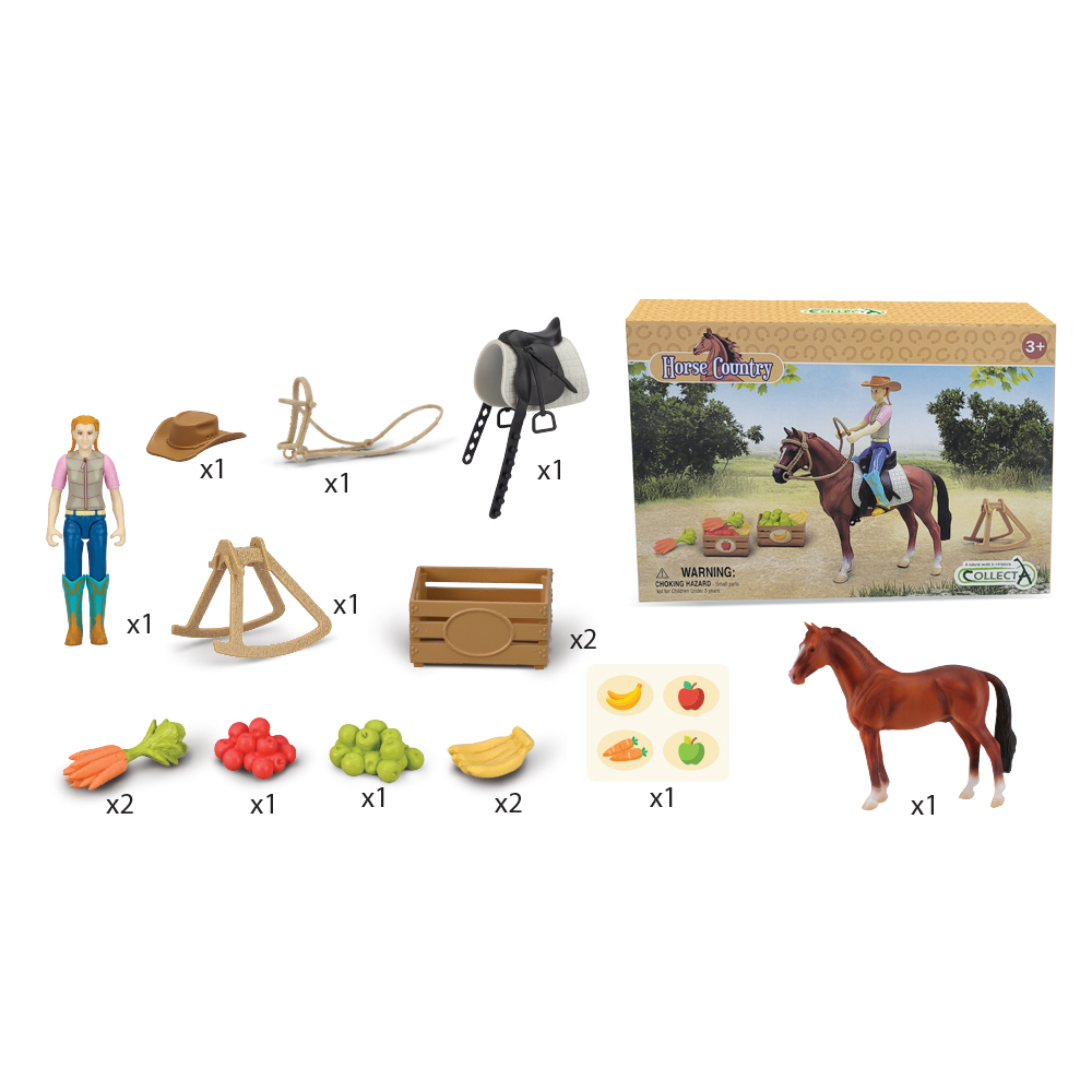 Rider With Horse & Accessories