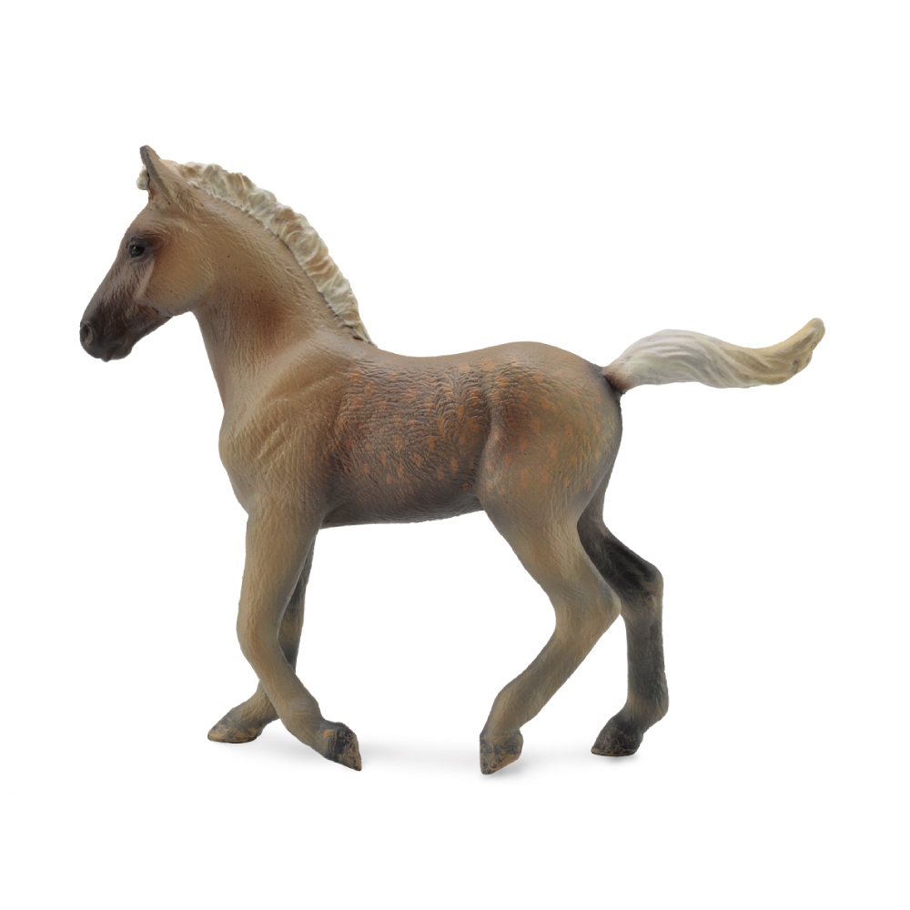 Rocky Mountain Foal Chocolate