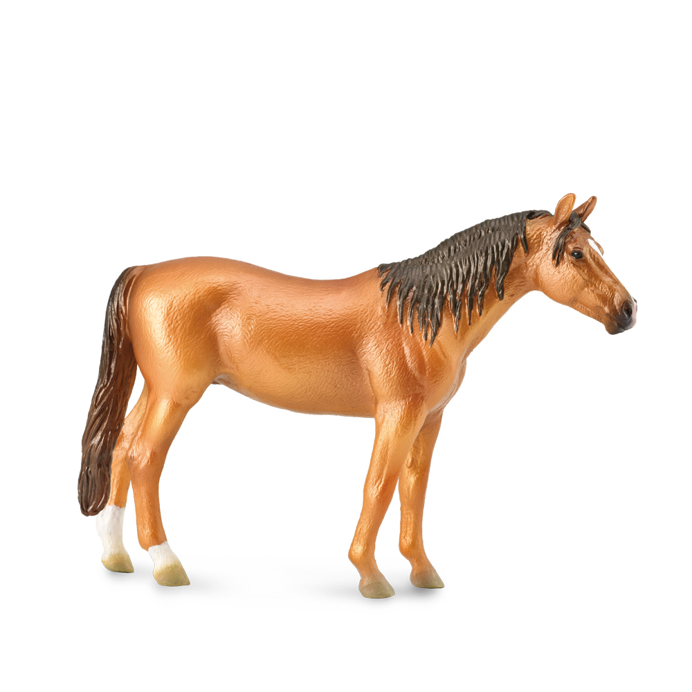 Russian Don Mare Bright Chestnut