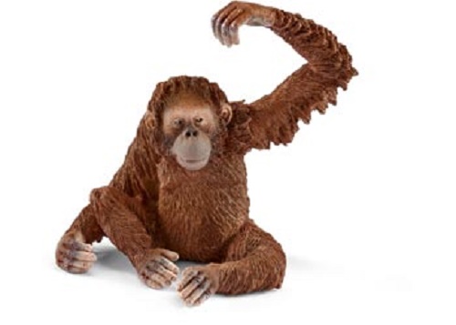 Orangutan Female With Moveable Arms