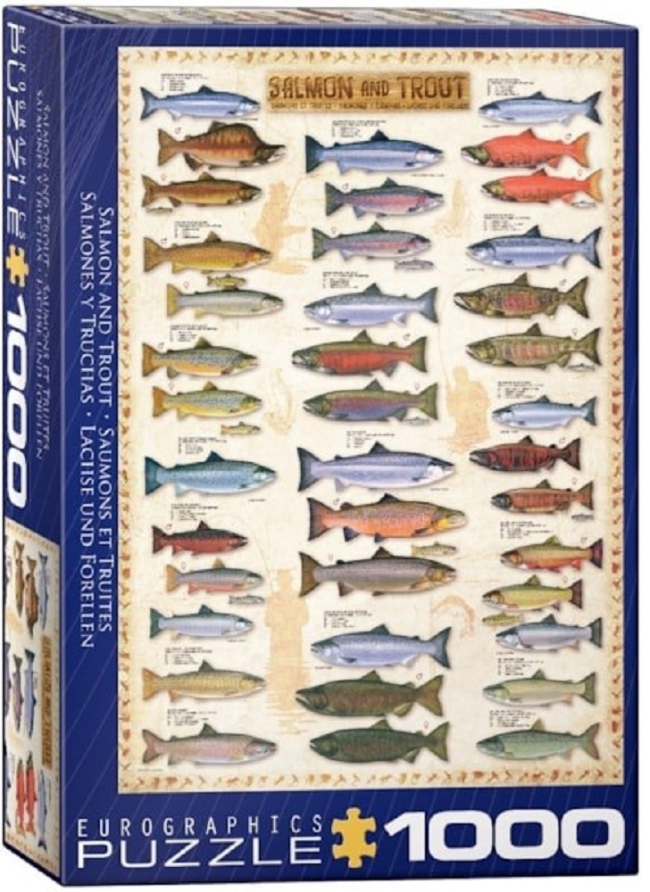 Salmon And Trout