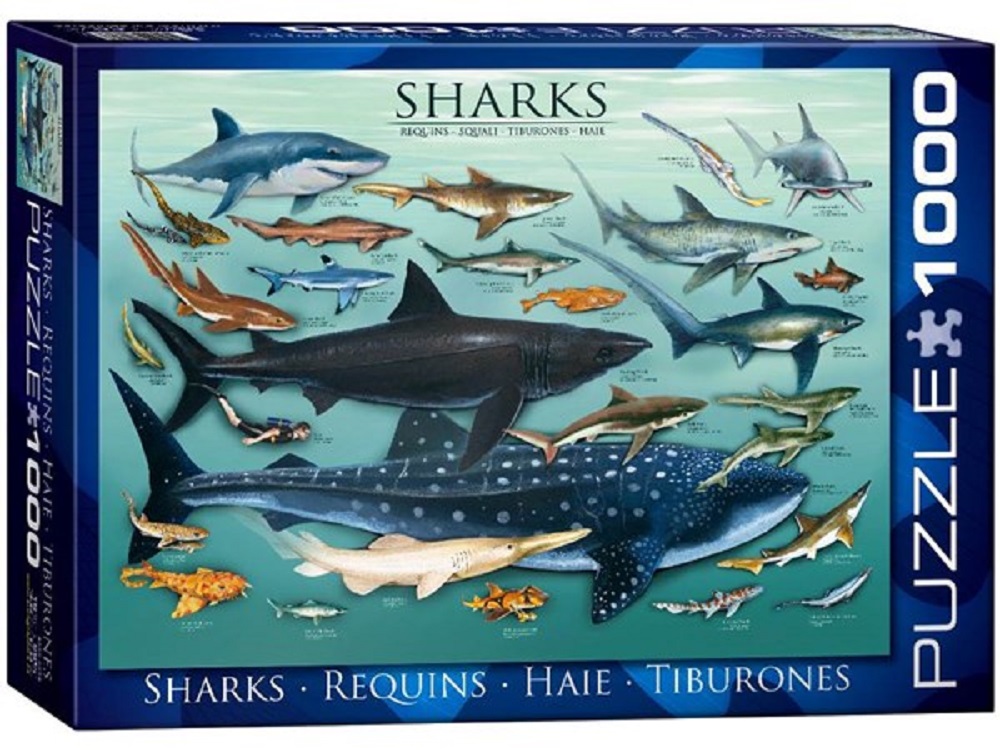 Sharks